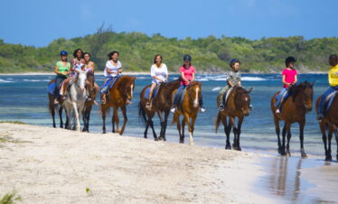 Beach Horseback