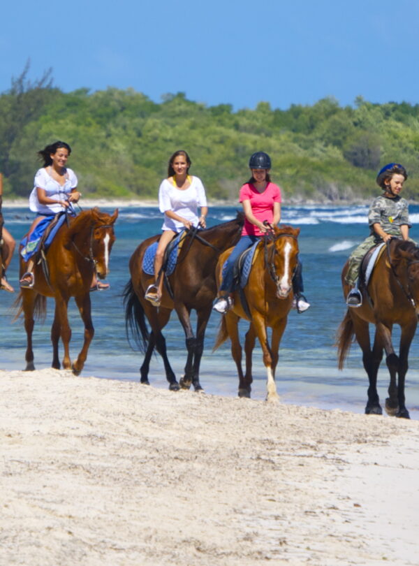 Beach Horseback