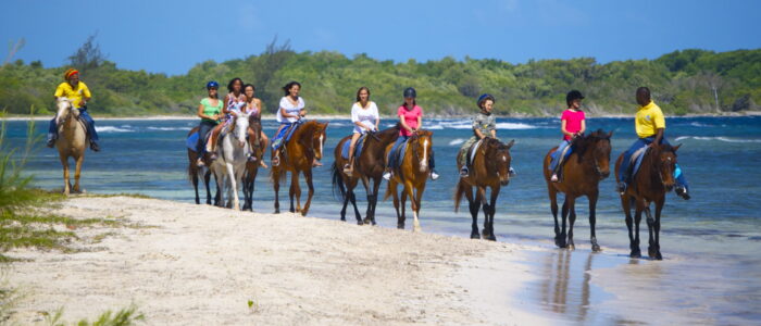 Beach Horseback