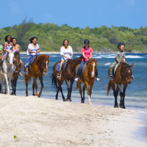 Beach Horseback Riding