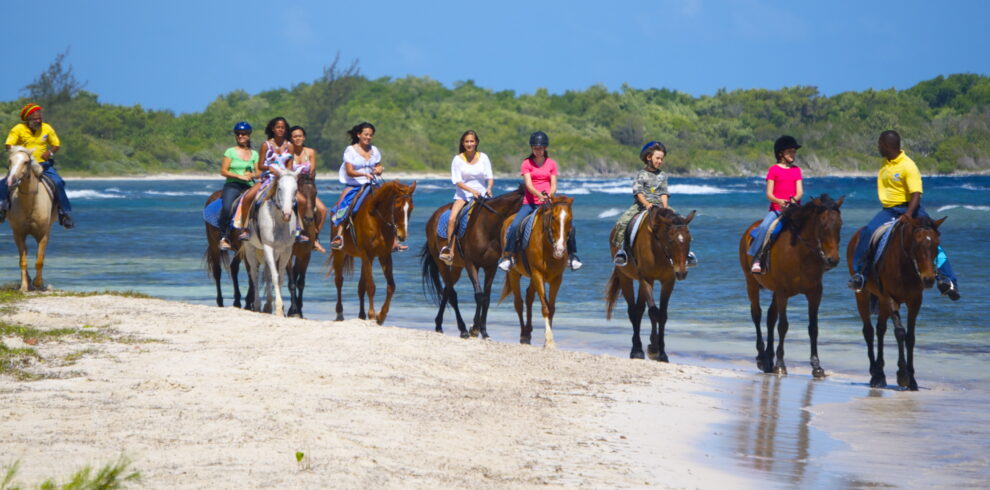 Beach Horseback Riding