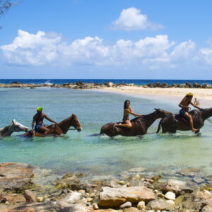 Beach Horseback Riding