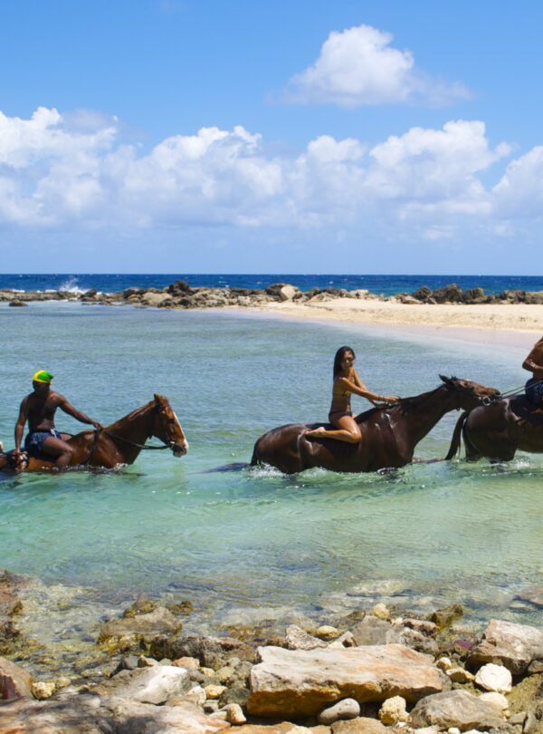 Beach Horseback Riding