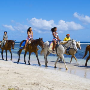 Beach Horseback Riding