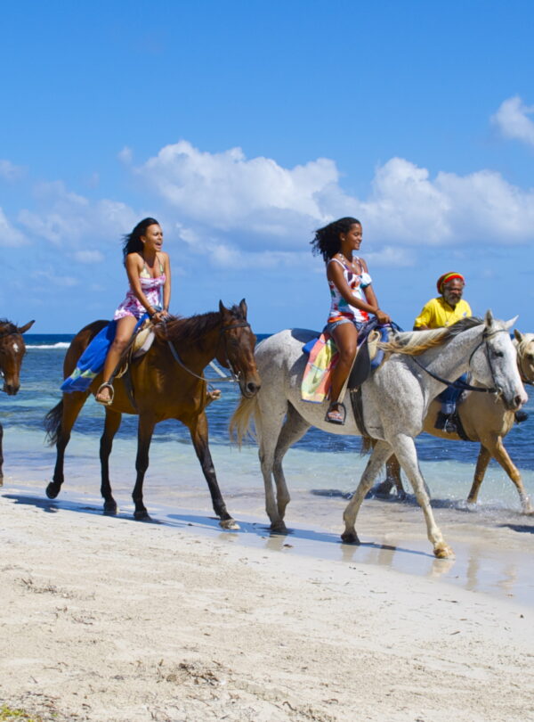 Beach Horseback Riding