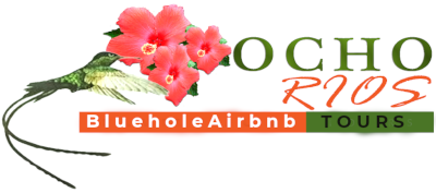 Ocho Rios Blue Hole Airbnb Tours